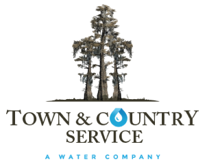 City Logo